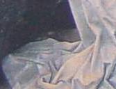 65.jpg